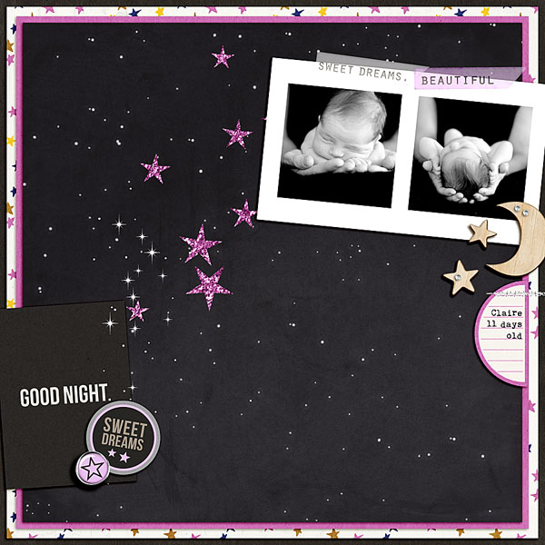 Project Mouse (At Night): BUNDLE - Image 2