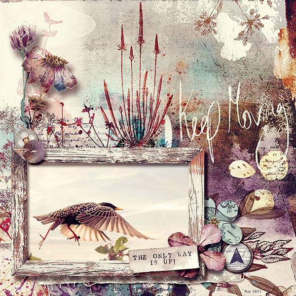 Barnyard Frames - Image 3
