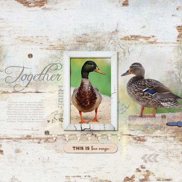 Barnyard Frames - Image 5