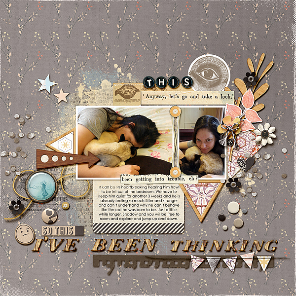 Bee Curious Elements - Image 10