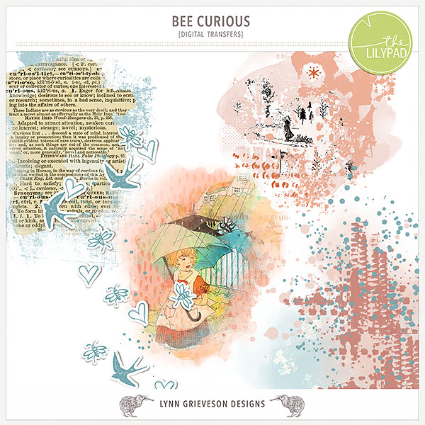 Bee Curious Kit - Image 5
