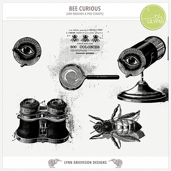 Bee Curious Kit - Image 6