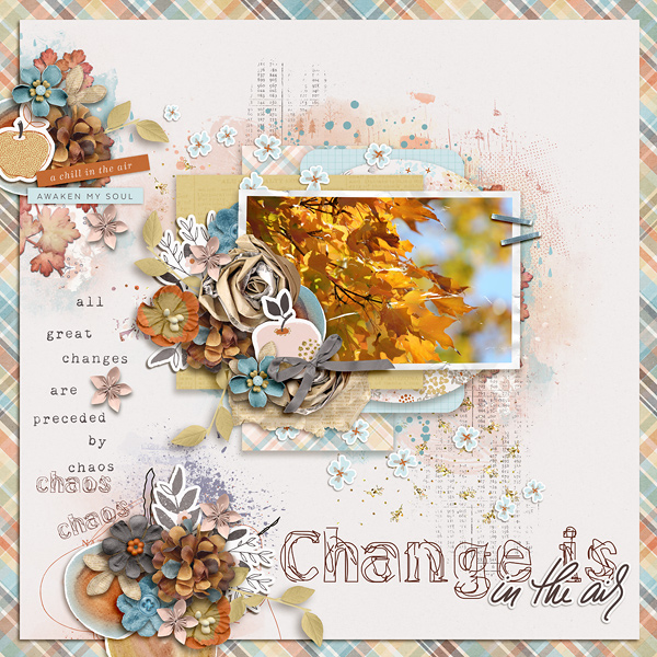 Bee Curious Transfers - Image 4