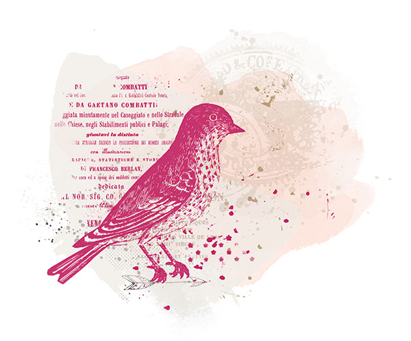 Vintage Brushes Galore - Image 3