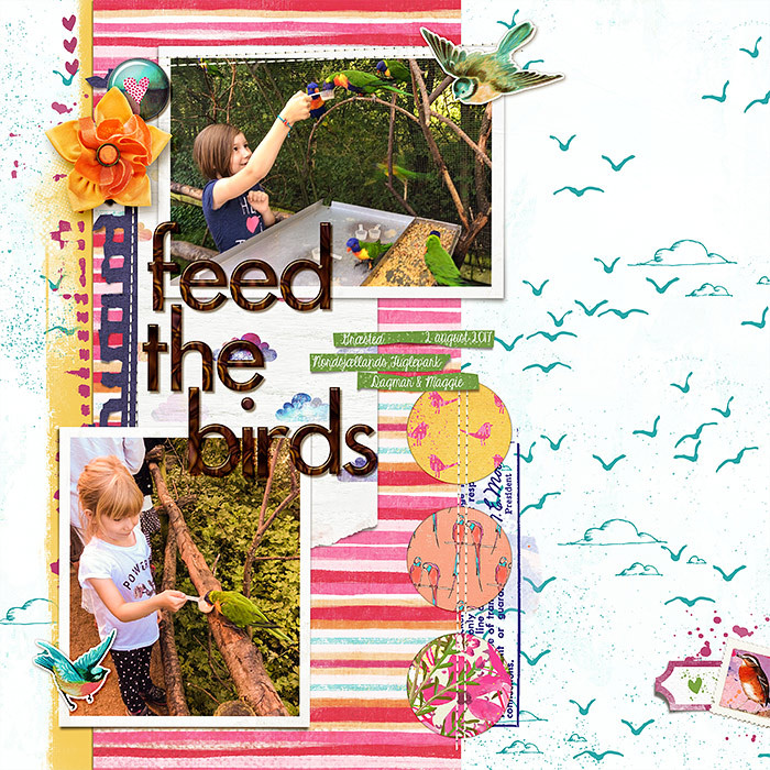 Birdseed Papers - Image 9