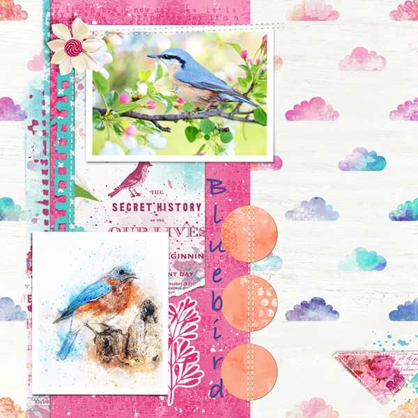 Birdseed Papers - Image 10