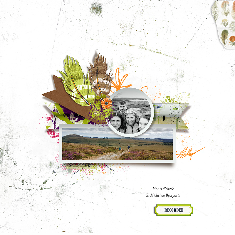 Boho Vibes Element Pack - Image 7