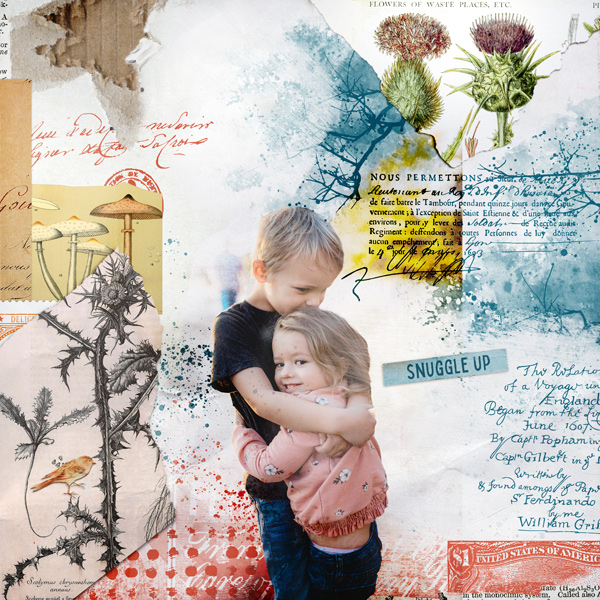 Botanical Mix Shivering Paper Pack - Image 8