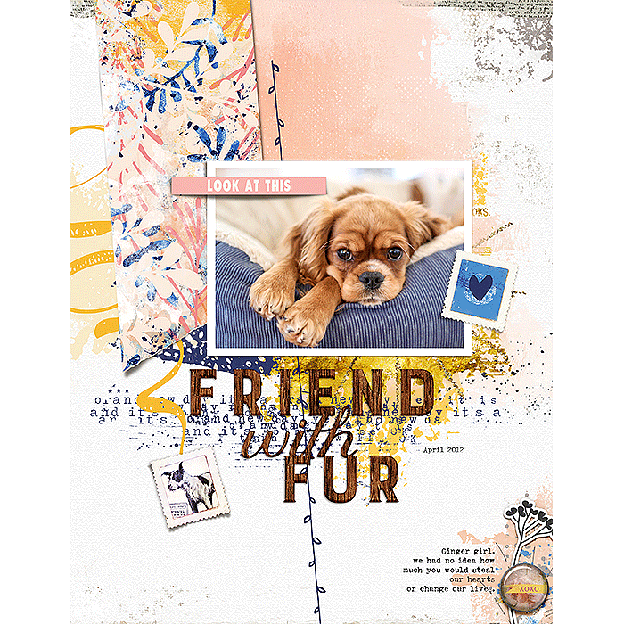 Brand New Day Paper Pack - Image 9