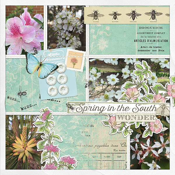 Button Cards - Image 2