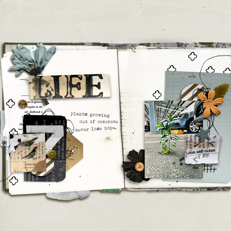 The Assembles Collection: Saffron | 'Artists Books' Paperie - Image 5
