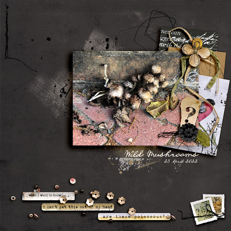 Hear My Voice: 01 - Questioning | Digital Scrapbooking Paper Pack - Image 3