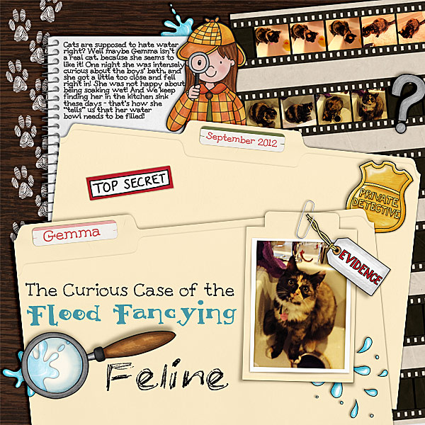 tabbed folders - Image 3