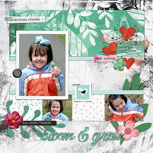 Collected Pockets template album - Image 6