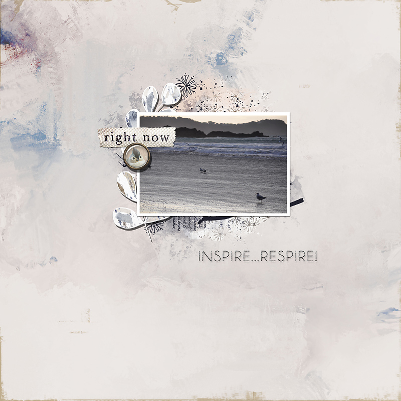 Creekside Paper Pack - Image 10