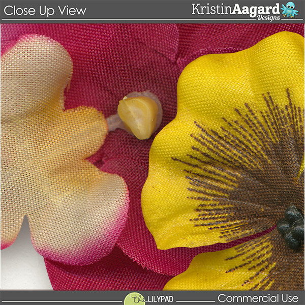 CU Flowers 8 - Image 2