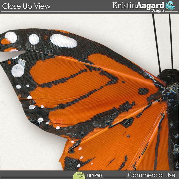 CU Butterflies 2 - Image 2
