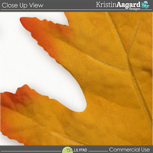 CU Fabric Fall Leaves - Image 3