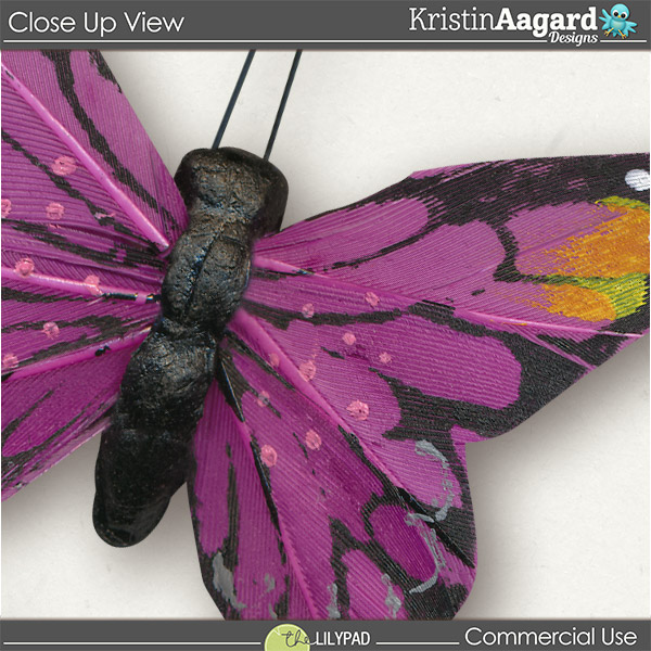 CU Butterflies 2 - Image 3