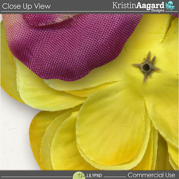 CU Flowers 8 - Image 3