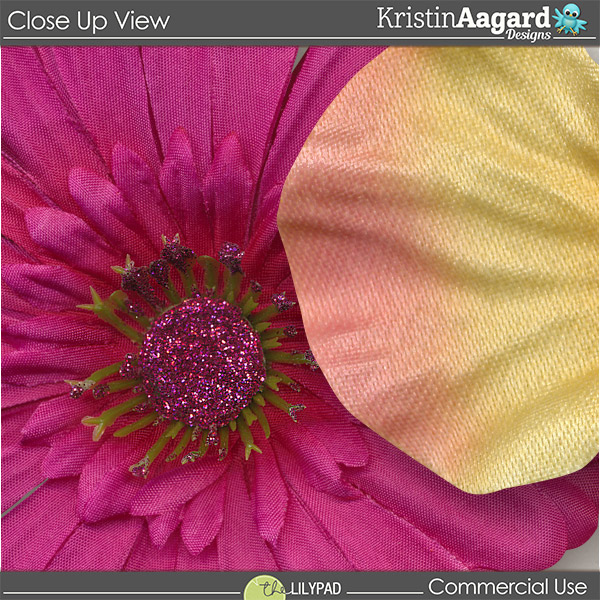 CU Flowers 8 - Image 4