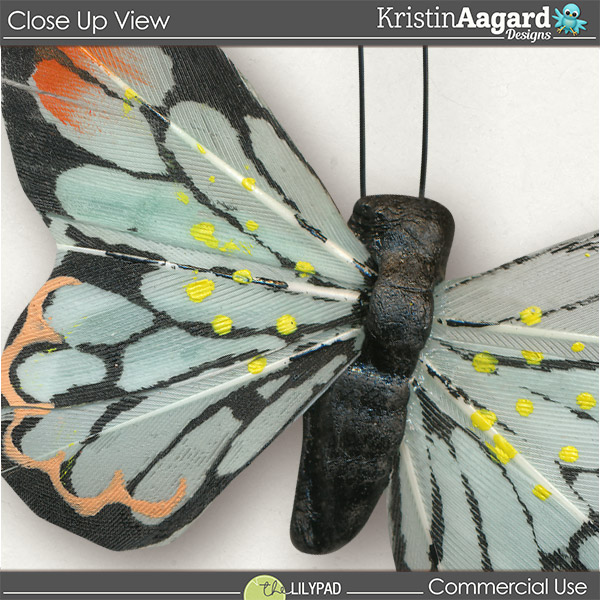 CU Butterflies 2 - Image 4