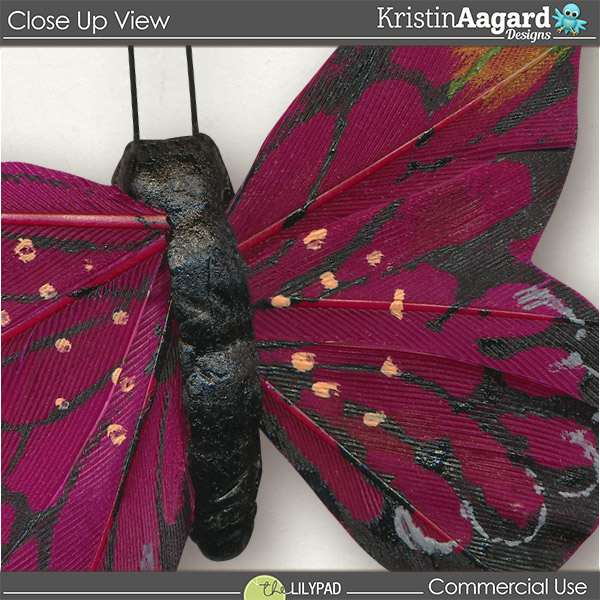 CU Butterflies 2 - Image 5