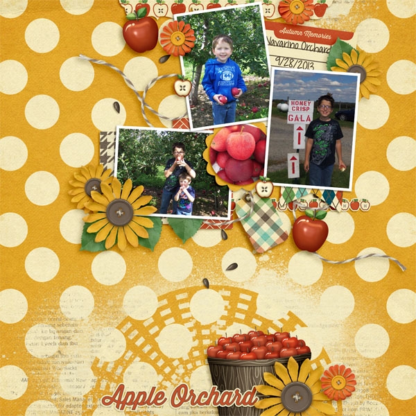 Woodland Autumn - Image 6