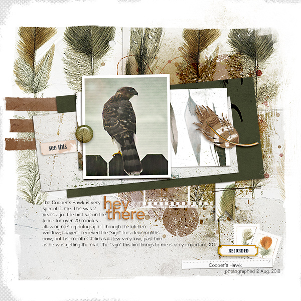 Delightful Days templates - Image 9