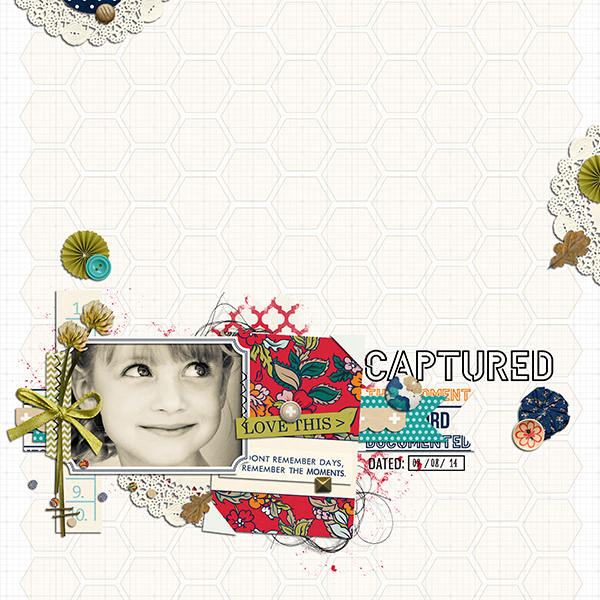 documentary (papers) - Image 8