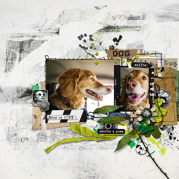 Pocket Art: Collage Bits & Mixed Media Artistry 13 - Image 6