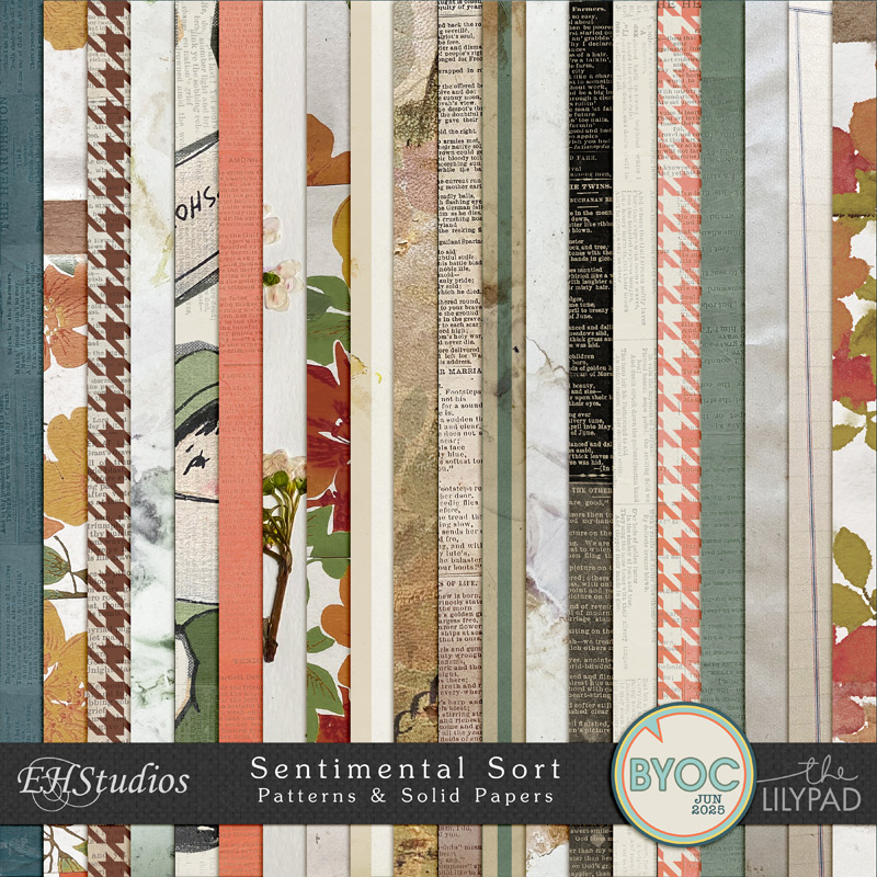 Sentimental Sort | Paper Pack by EHStudios