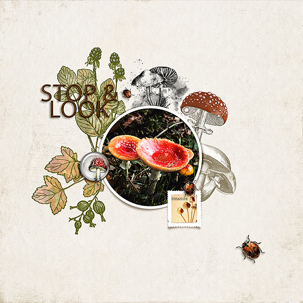 Forage Brushes - Image 3