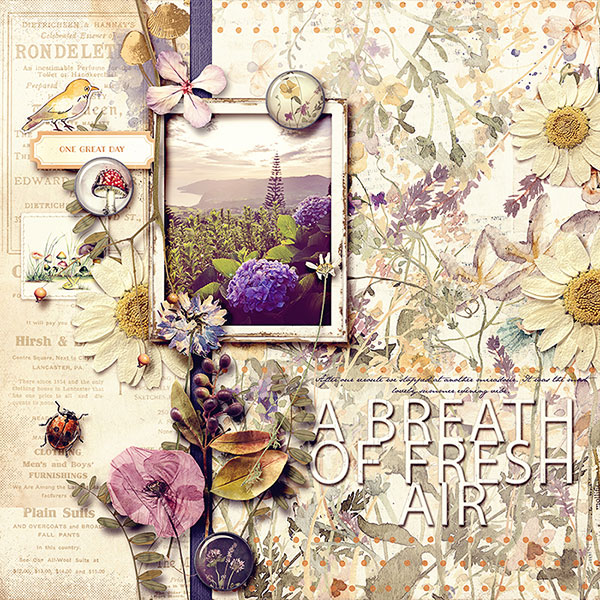 Forage Collection - Image 4