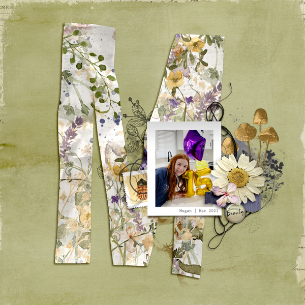 Forage Brushes - Image 4