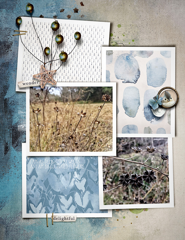 Frames in 5s and 6s - Image 6