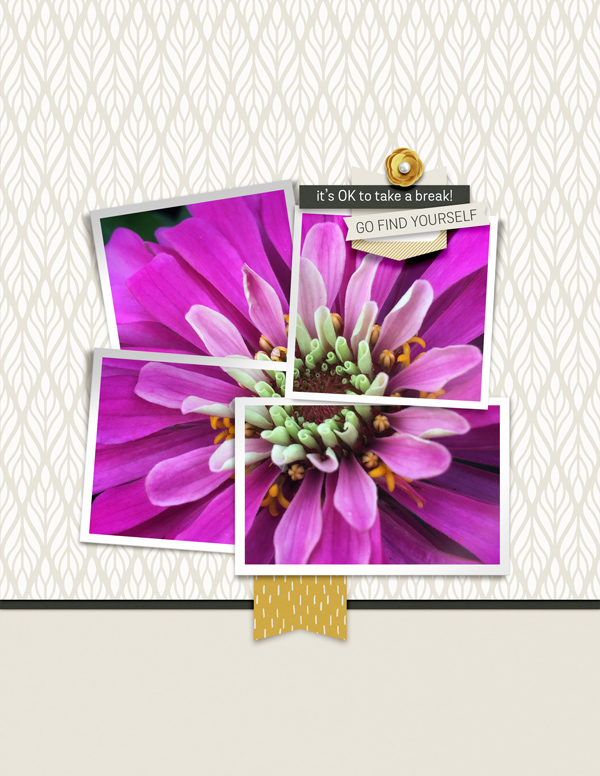Frames in Fours - Image 7