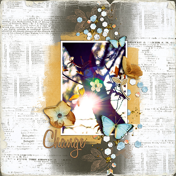 Garden Mystery Kit - Image 5
