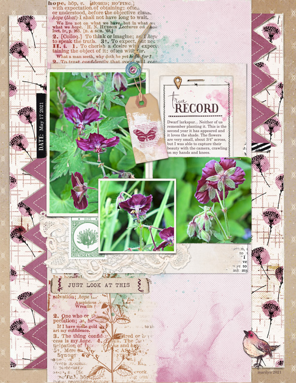 Green Shoots Kit - Image 7