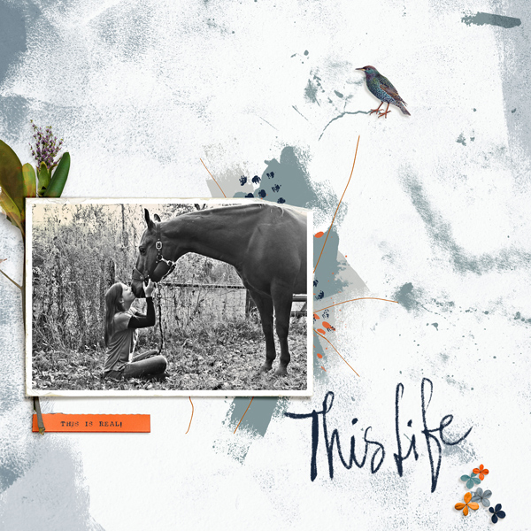 Worn Photos Just Peachy - Image 3