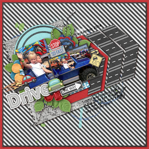 License To Drive Quick Pages - Image 2