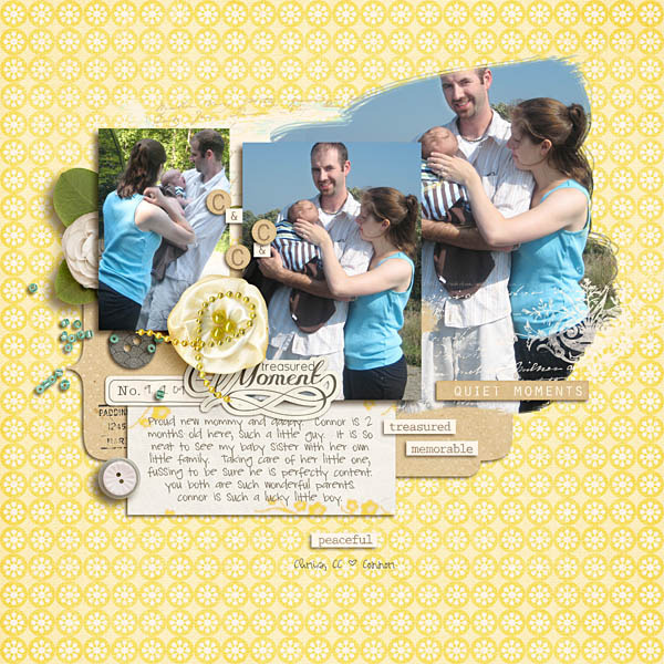 Treasured Moments by Sahlin Studio and Sugarplum Paperie - Image 9