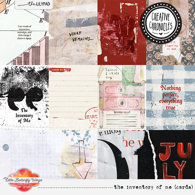 Creative Chronicles: The Inventory of me (bundle + fwp) - Image 6