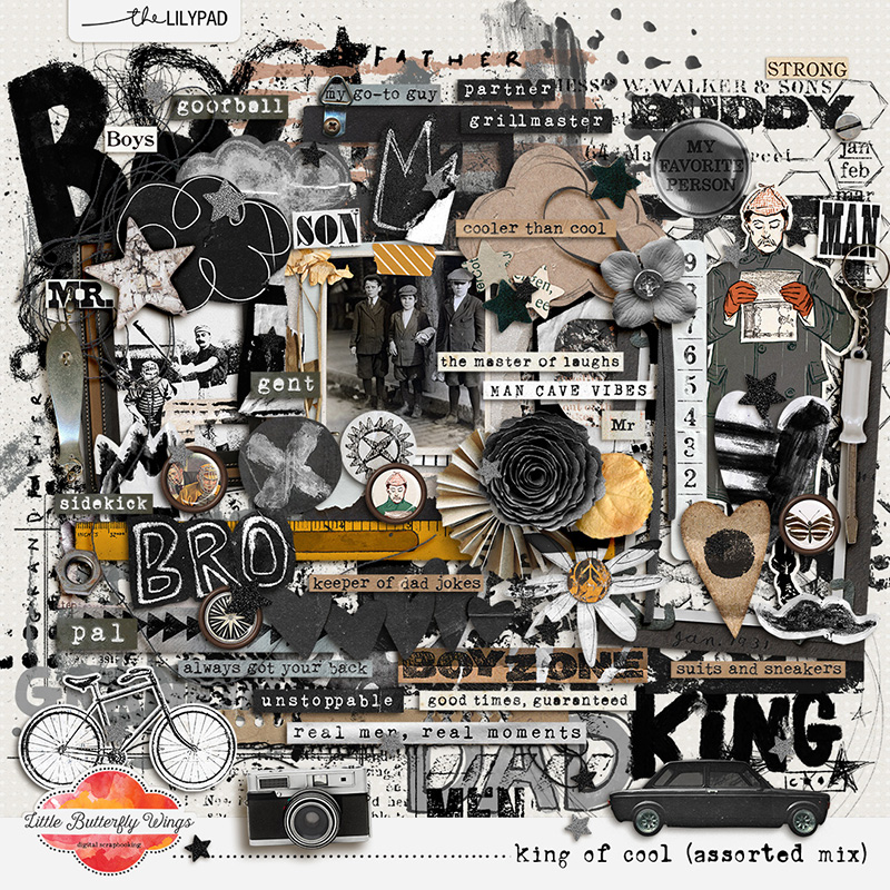 King of cool (assorted mix) by Little Butterfly Wings