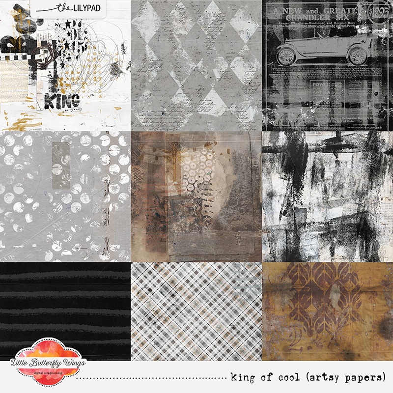 King of cool (artsy papers) by Little Butterfly Wings