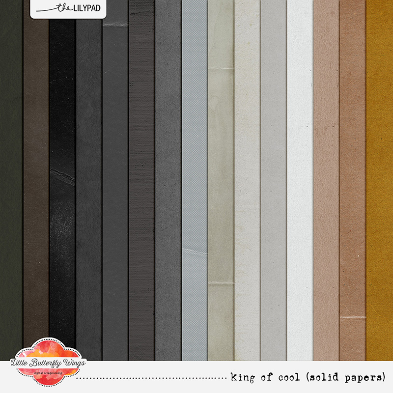 King of cool (solid papers) by Little Butterfly Wings