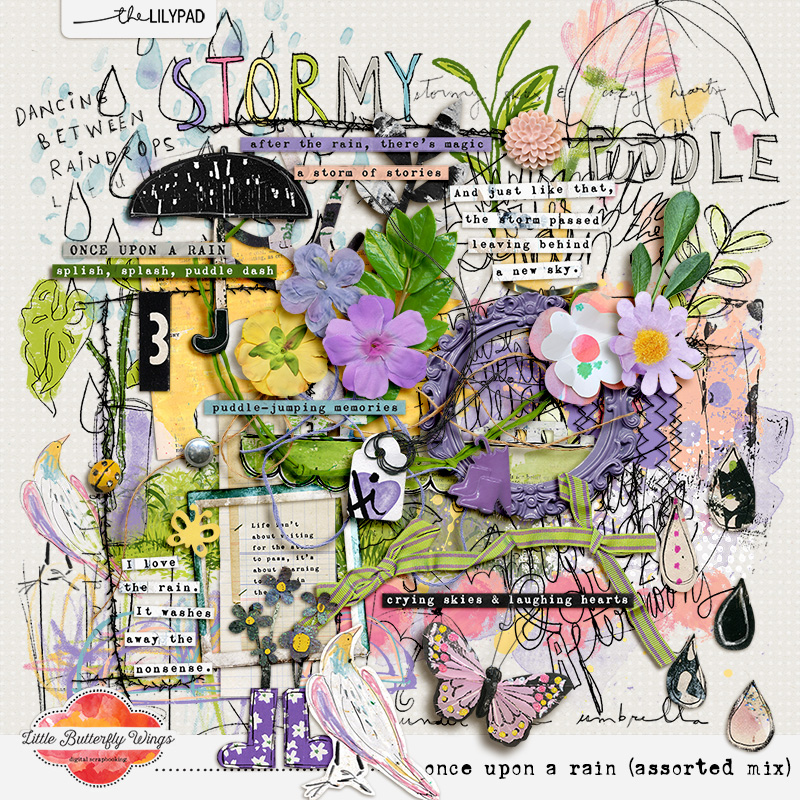 Once upon a rain (assorted mix) by Little Butterfly Wings