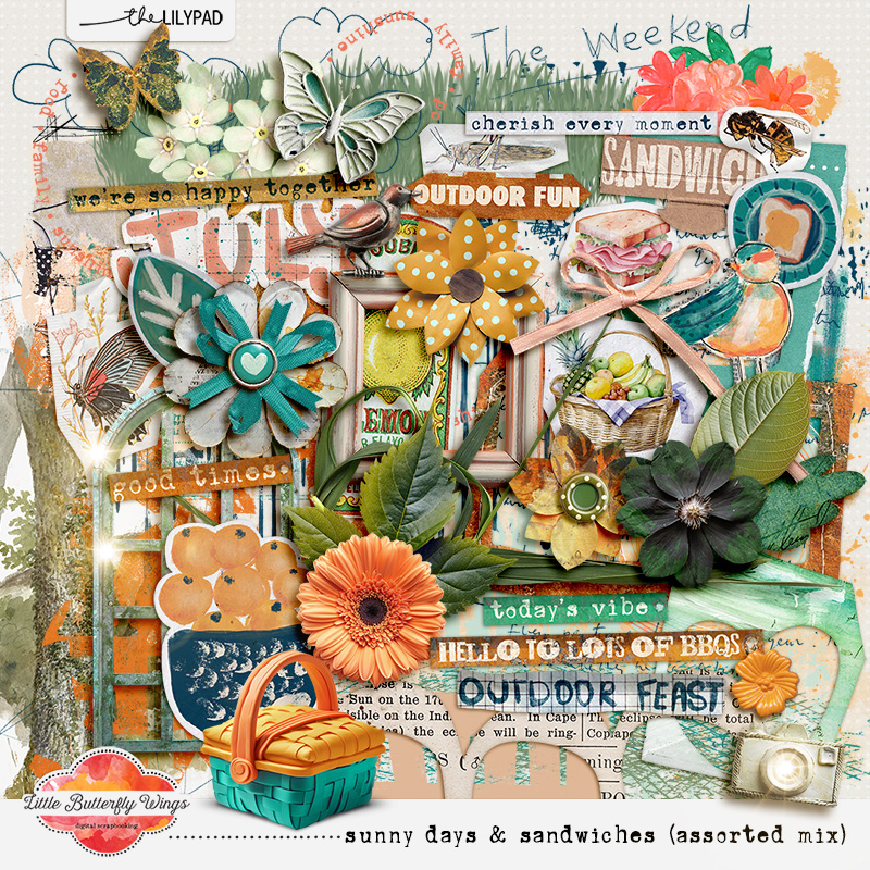 Sunny days & Sandwiches (assorted mix) by Little Butterfly Wings