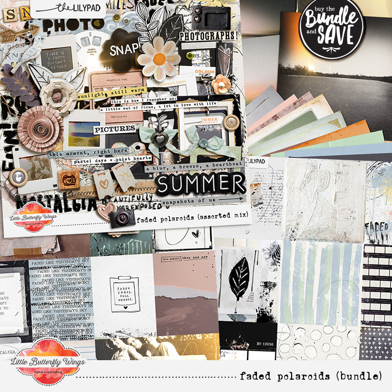 Faded Polaroids (bundle) by Little Butterfly Wings