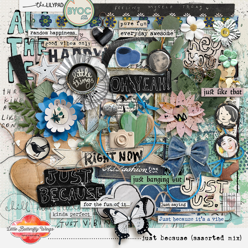 Just because (assorted mix) by Little Butterfly Wings